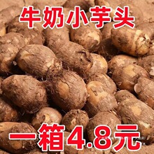 山东牛奶芋头9斤当季新鲜小香芋红芽芋艿槟榔毛芋头蔬菜整箱5包邮