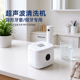 蒸汽清洁机