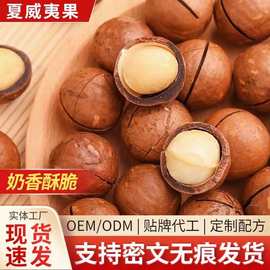 夏威夷果奶油味坚果年货零食开口大颗粒夏威夷果坚果零食整箱批发