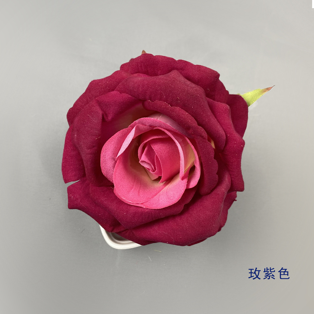 로즈 퍼플