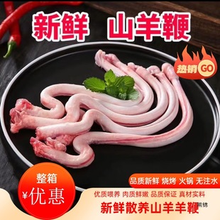 新鲜羊鞭烧烤煲汤爆炒羊宝羊睾丸冷冻现宰羊鞭羊肉500g包邮羊腰子-阿里巴巴
