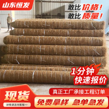 �o��Ҭ�z̺���ٹ�·߅���������B�G��ֲ���w�S̺�ӵ����_����̺