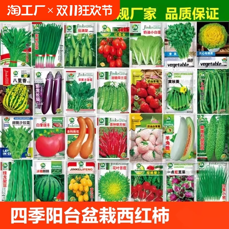 蔬菜种子大叶香菜四季小香葱播盆栽辣椒番茄黄瓜秋易种籽孑大全植