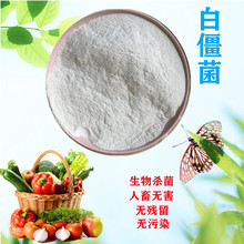 ׽F؛ݲѿߗU׽ ˮ200| ΢ ׽