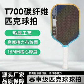 其他运动休闲;匹克球;其他球类用品