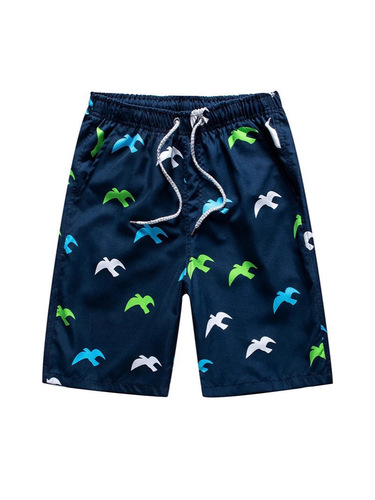 New summer beach pants, men's casual quick-drying, men's medium pants, loose XL men's 5 cents pants