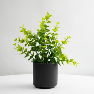 Simulated Green Plants, Home Plants, Potted Plants, Decorative Eucalyptus Flower Arrangements, Outdoor Plastic Potted Plants