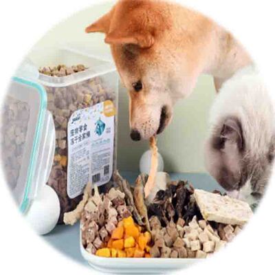 Manufactor customized Fruit Crisp Freeze dryer Pets snacks equipment intelligence vacuum Freezing dryer