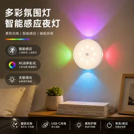 风扇灯;LED装饰灯;智能夜灯