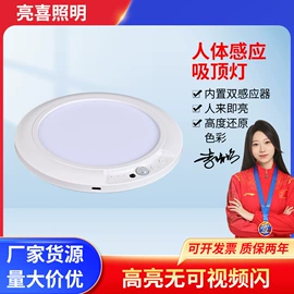 LED玉米灯;LED横插灯;LED球泡灯