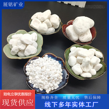 厂家批发鹅卵石白石子造景公园庭院铺路装饰纯白石头水培碎石天然
