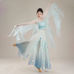 古典的な古典的なダンスの新型の紗の服の仙気の演出服のふわふわしている上着の身韻の演出の練習の功の中国のダンスのスーツ