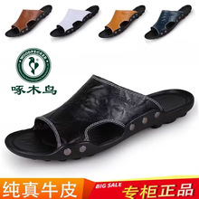 啄木鸟正品男士拖鞋2025新款夏季一字拖时尚防臭休闲外穿真皮男鞋
