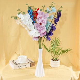 9�^С�����m �����m�� ���滨�b�Y���û��ľƵꙻ���[���껨