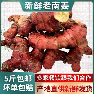 ���ǼtƤ���Ͻ������������r�F������Ұɽ���������l�羳���l؛Դ