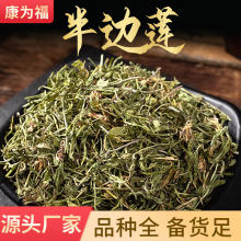 半边莲 细米草急解索半边花 中药材半边莲 产地货 量大优