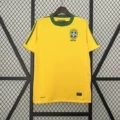 2010 brazil home game