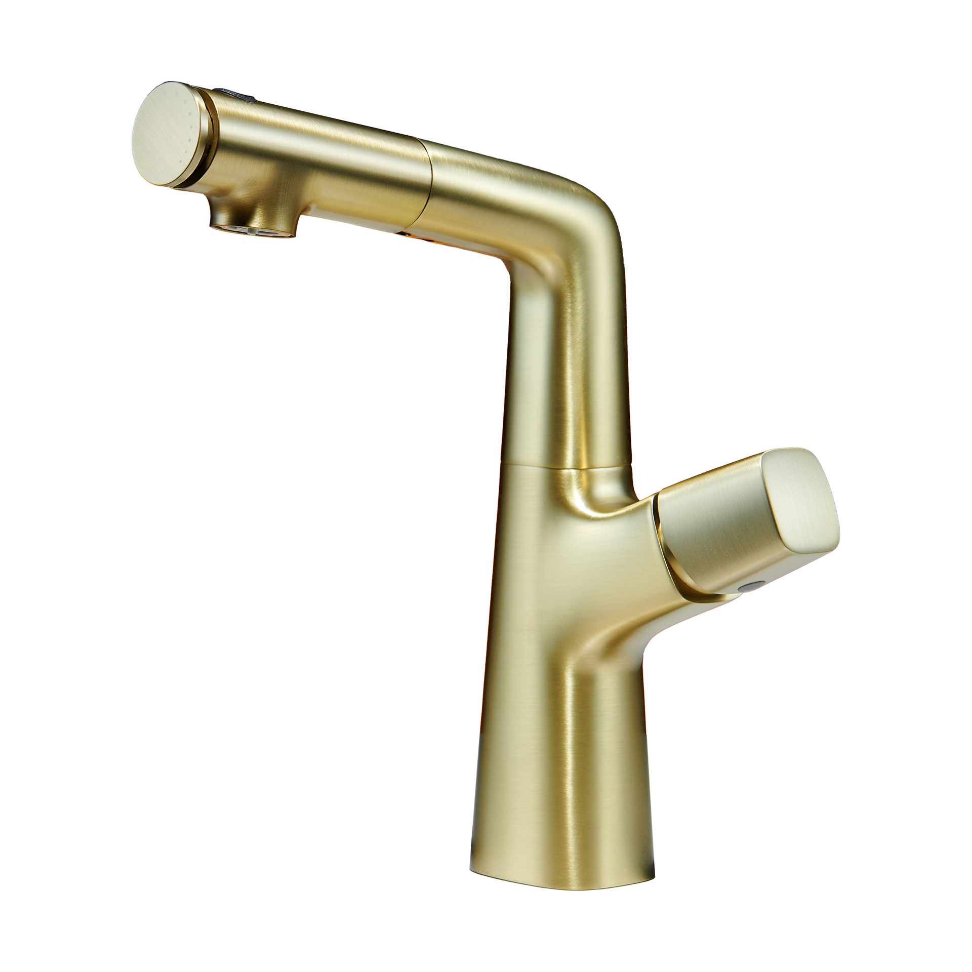 업그레이드된 물 배출구 모델, 브러시드 골드