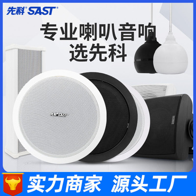 SAST S1 smallpox Ceiling horn suspended ceiling sound shops background music Manufactor wholesale Radio broadcast loudspeaker box