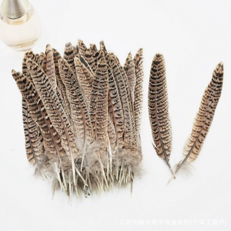 Haifeng mother pheasant tail feathers 15-20cm, material for cat teaser wands, stage Peking opera pheasant feathers, high-temperature sterilized