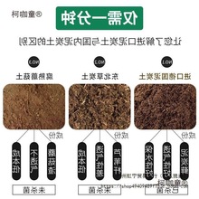 ��42K41�M��̿�����M��39����24��̿�m����33����I�B��1��̫��