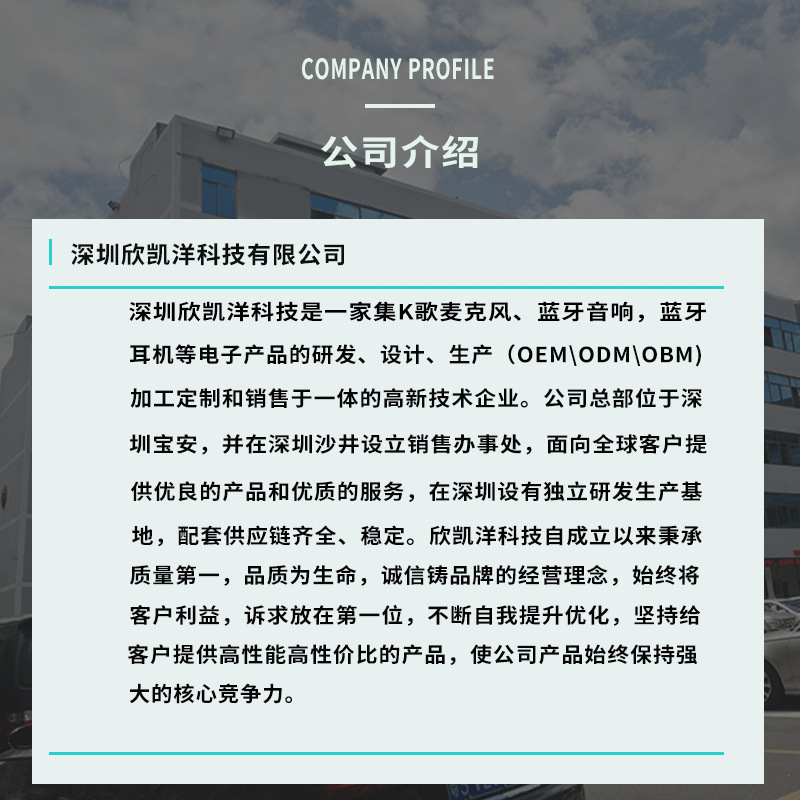 详情页-公司介绍