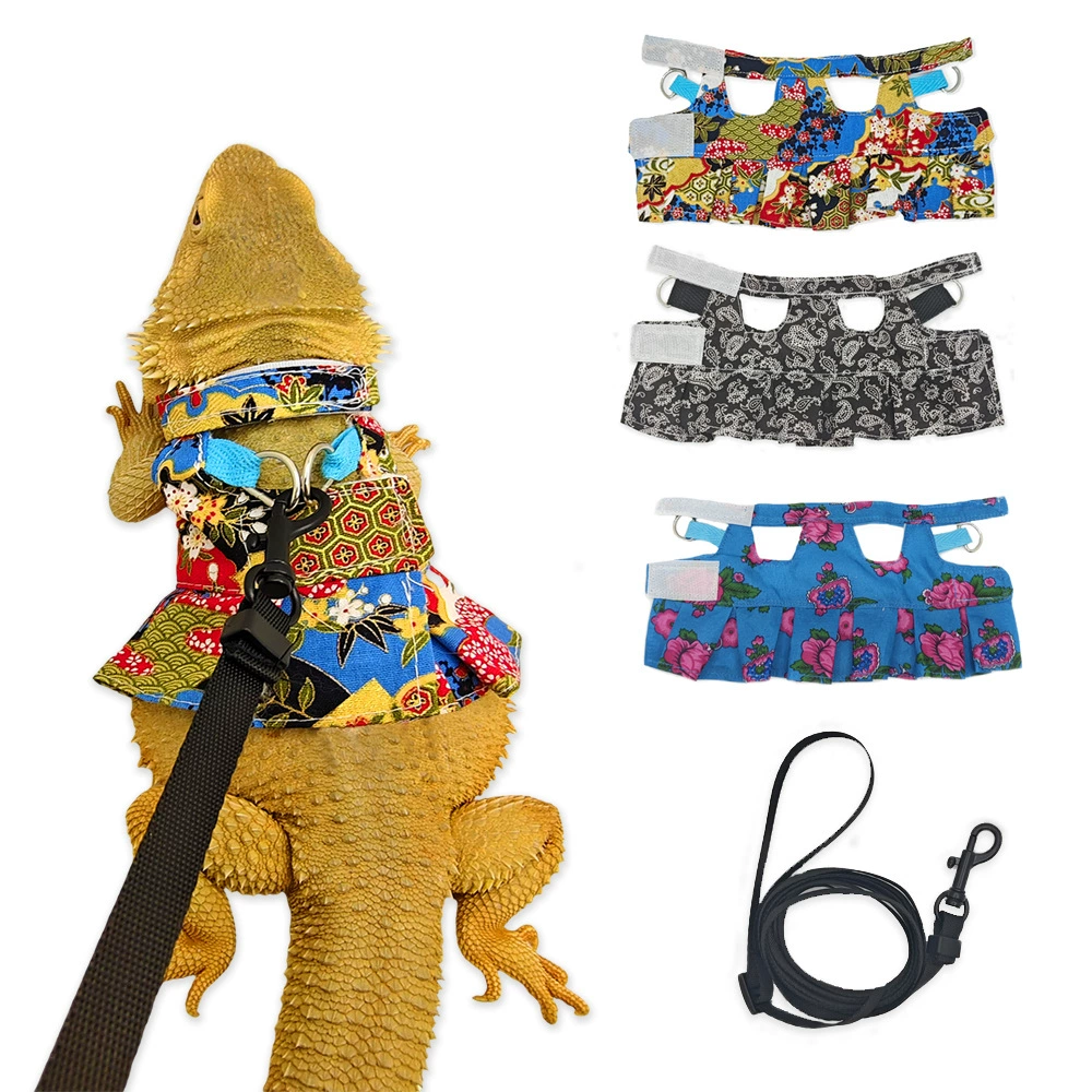 Ящерица поводок