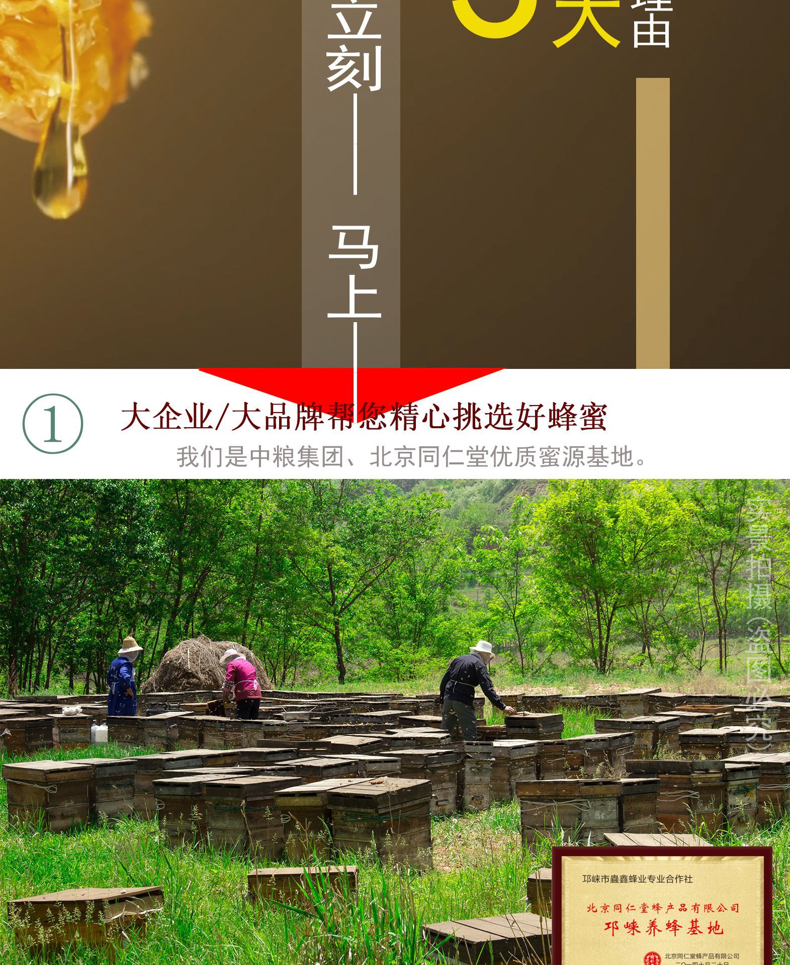 500g土蜂蜜寶貝詳情1_07