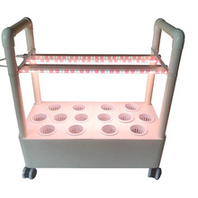 �羳���N�¿��ͥ�̨�o������ˮ���O���҃��߲˻���N�����wˮ��