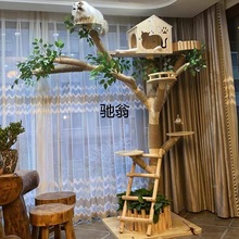 jss【猫爬架】特价清仓猫窝一体猫玩具猫抓板逗猫猫咪攀爬架猫树