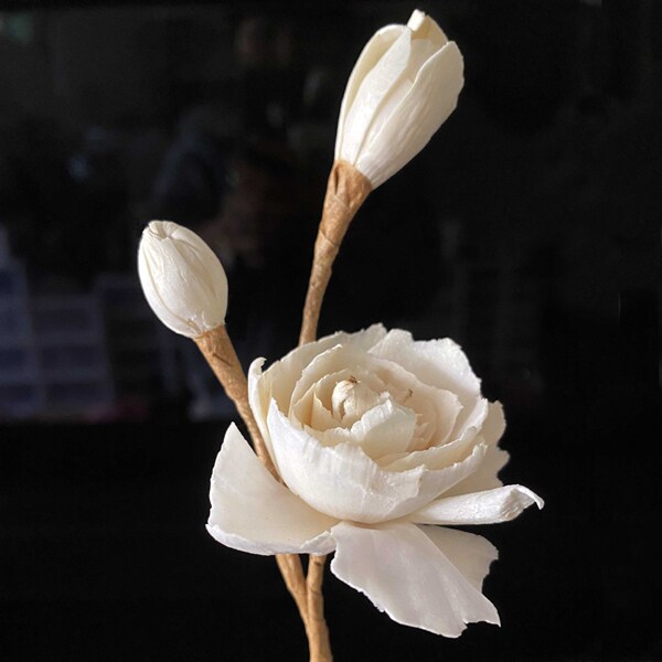 [Sample shooting] Aromatherapy dry flower