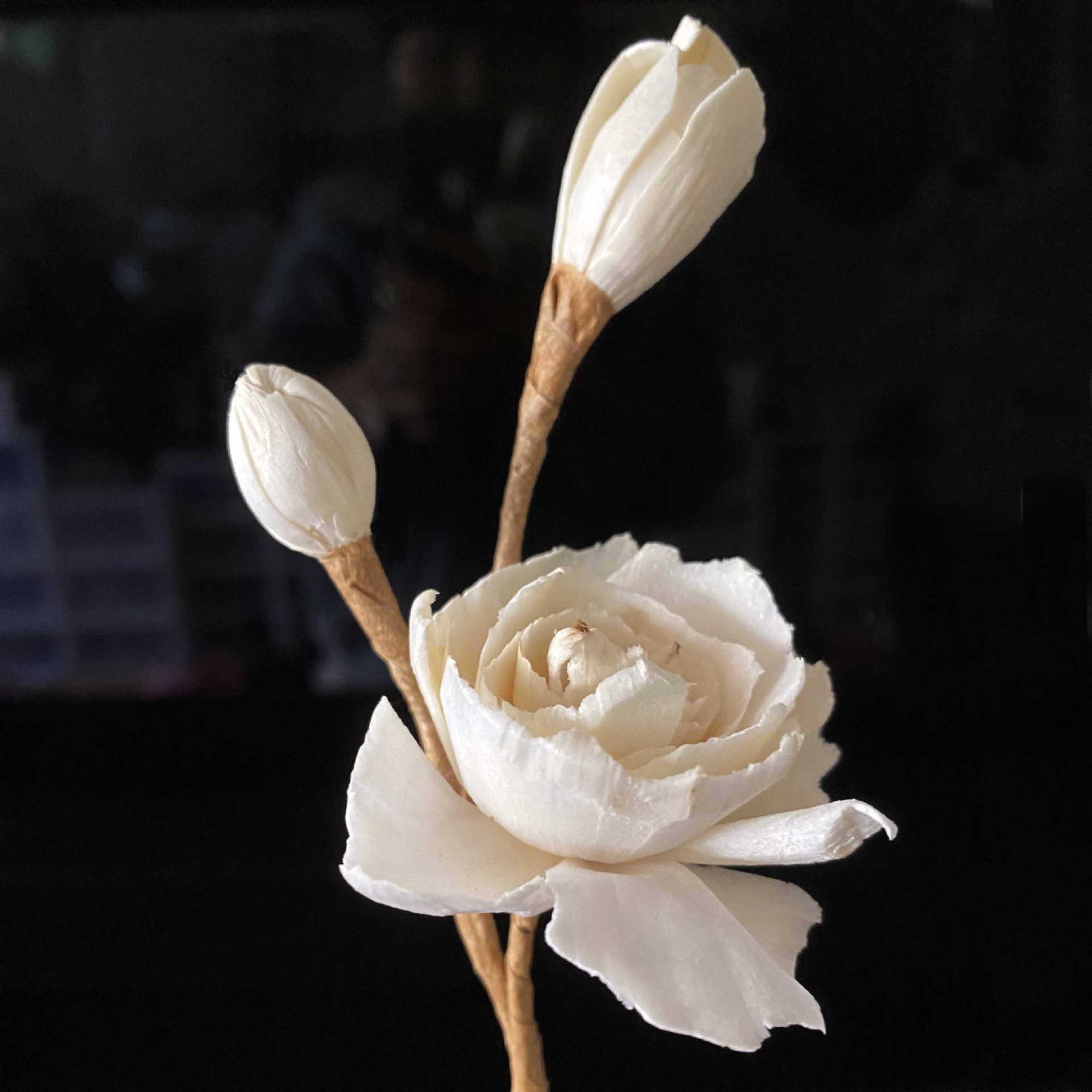 [Sample shooting] Aromatherapy dry flower