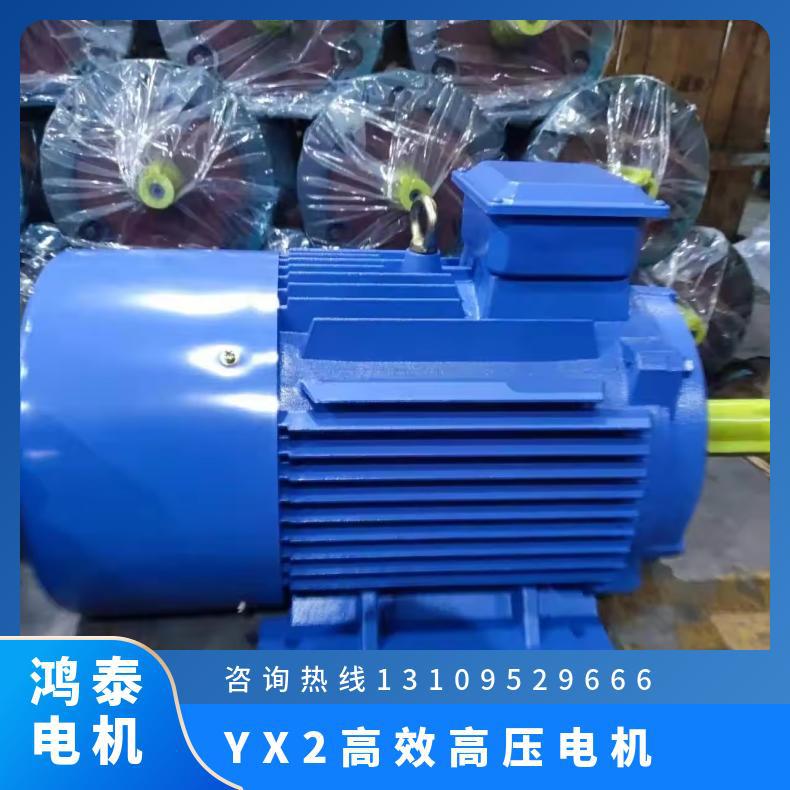 鸿泰高压三相异步电机	YX2-5003-6	500KW	10KV	外型美观 制造精良