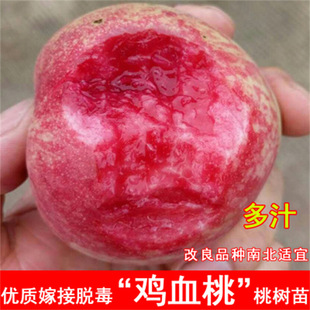 ����������8-5̖�Ҙ���������S�����Ҙ������Ա���ͥԺ���Nֲ