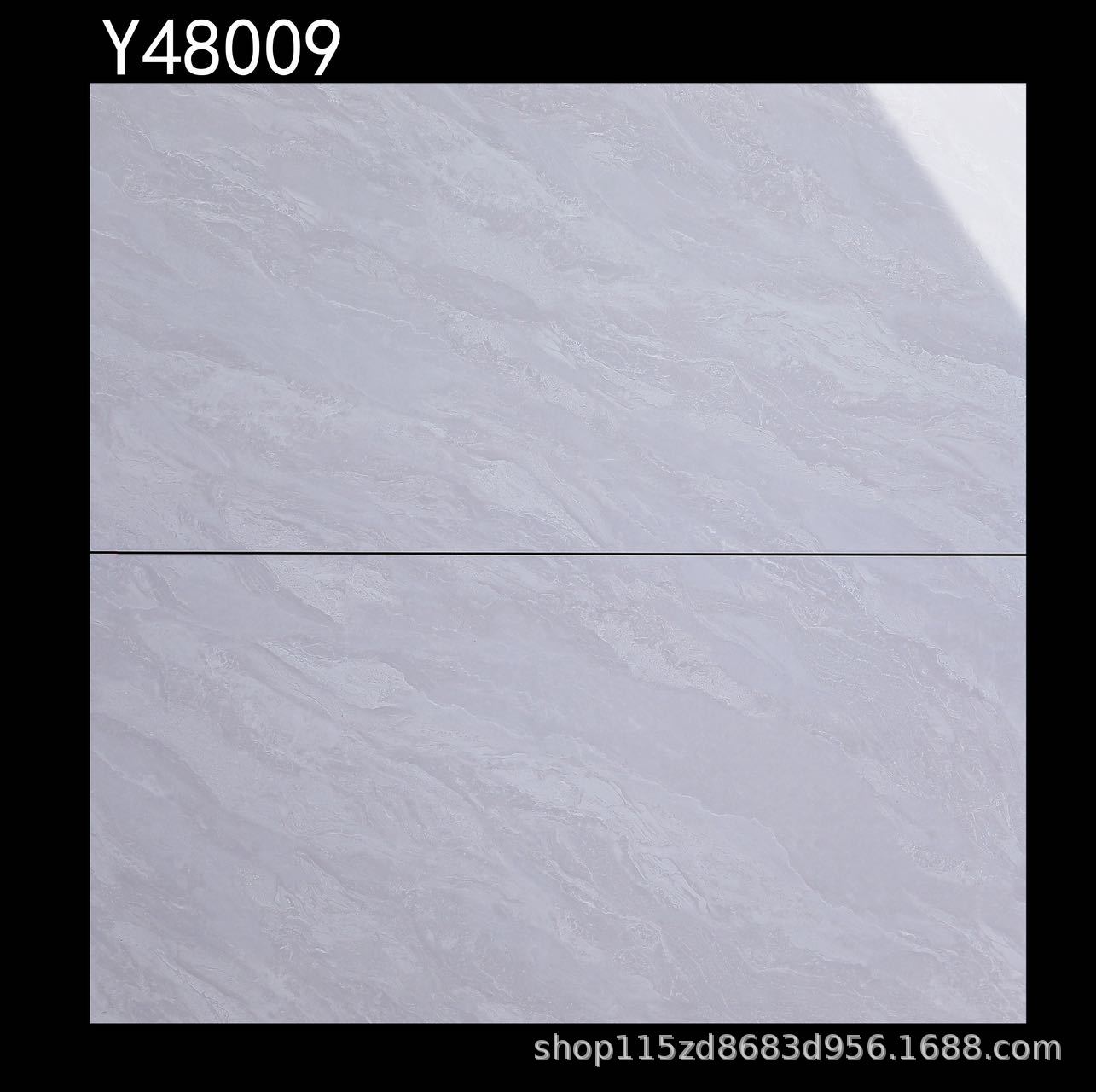 Y48009