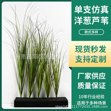 跨境仿真单支芦苇洋葱草假草家居庭院装饰造景园林景观配材绿植