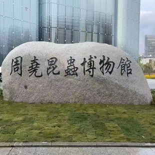 �S��ֱ�l������У�@С�^����ʯ�����T��ʯ���ʯ��ɽ���@���^�[��