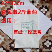 葡萄代子套果袋水果套袋纸套果子的袋子果树葡萄袋子防鸟防麦太保