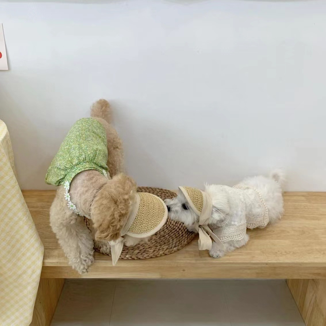 微信图片_20220809130429