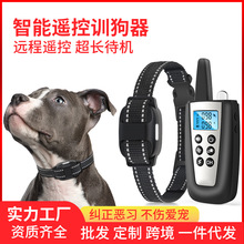 2026���R�d�¿�1000�׷�ˮ���ܳ���b�،���늓��Ȧֹ����Ӗ����