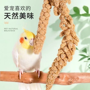 ���������С�����W�^�}��Zʳ��Ȼ�����Bʳ��ϻ�Ƥ���Lĵ�����