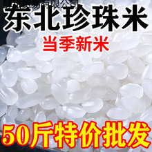 �|������2025������50���bһ��������20�ﾬ��������qiju�Ї�