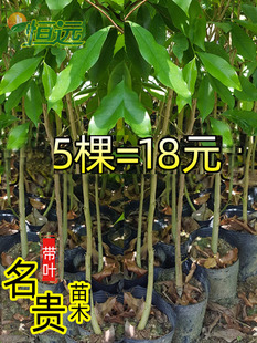 ���F��ľ��z�ľ������骳������С�~��̴�㺣�Ϙ���