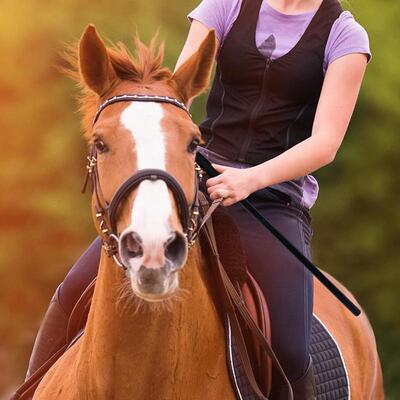 V8751 On behalf of Amazon Cross border new pattern Equestrian Two piece set 18 Inch Black Anti