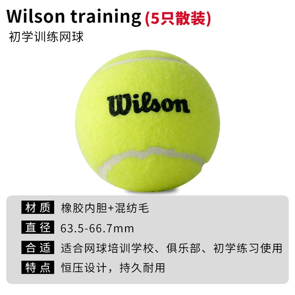 Wilson training balls 5 bulk
