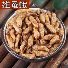 雄蚕蛾中药材500克去头去足去翅膀蚕蛾纯雄蚕蛾泡酒男雄蚕蛾批发