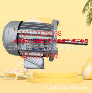 YS90-2-2200 3HP 2.2KW 永元電機（蘇州）有限公司東莞分公司