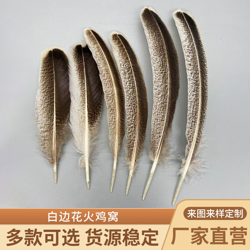 Natural Color White-Edged Turkey Feathers DIY Handmade Feather Materials Holiday Decorations Stage Performance Accessories Natural Color White-Edged Turkey Feathers DIY Handmade Feather Materials Holiday Decorations Stage Performance Accessories