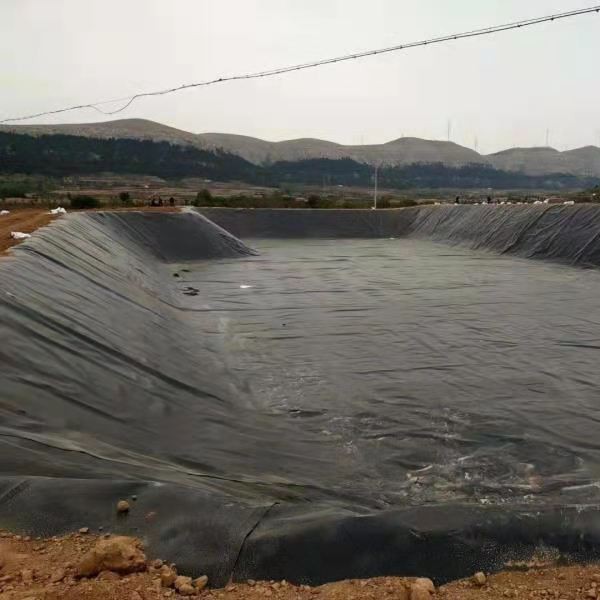 鱼塘防渗膜土工膜复合鱼池护坡专用水产养殖防漏水布HDPE高密度膜