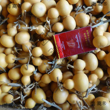 Ұ����Ȼ��������С���J�Π�����F��������[��������J�]��覴�